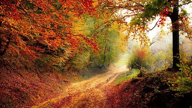 Autumn Road Desktop Background