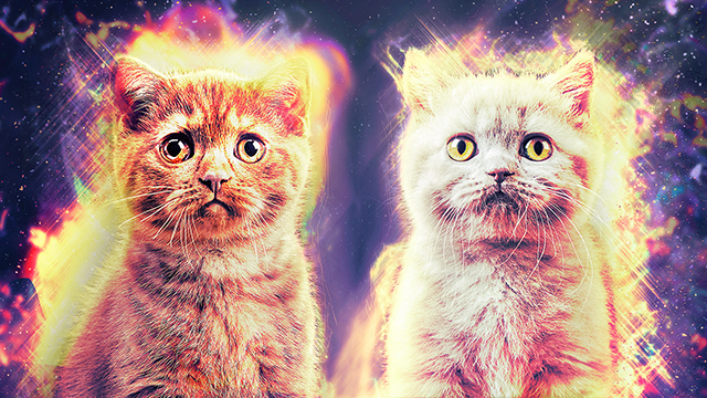 Cosmic Kittens Desktop Background