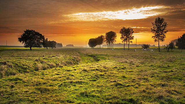 Countryside Desktop Background