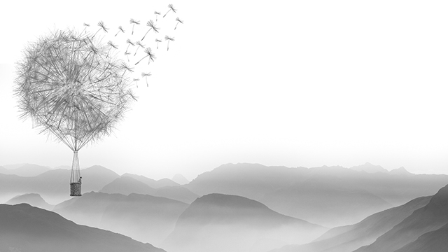 Dandelion Valley Desktop Background