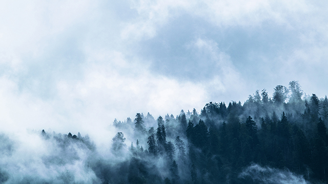 Foggy Desktop Background