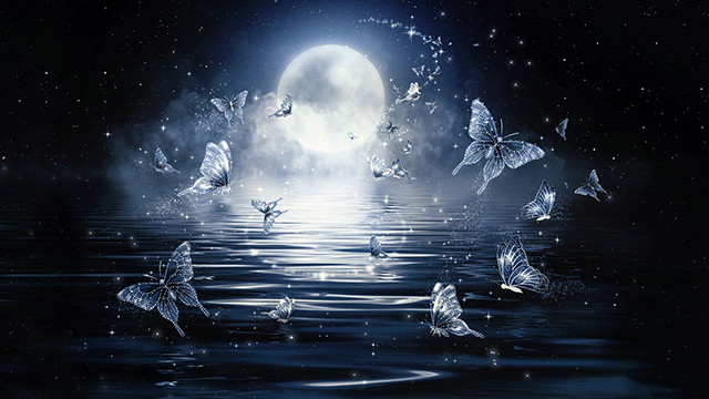 Moon Butterflies Desktop Background