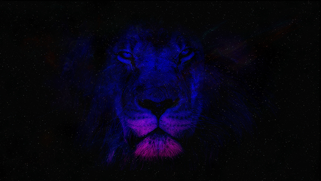 Space Lion Desktop Background