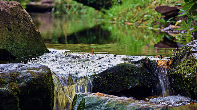 Spring Creek Desktop Background