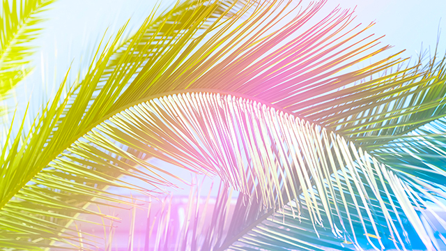 Tropicana Desktop Background