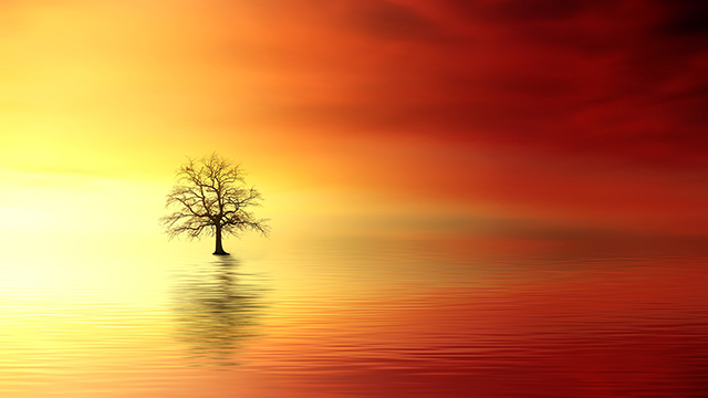 Vivid Sunset Desktop Background