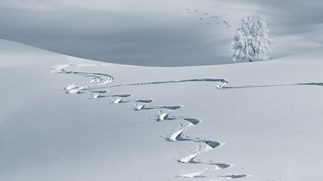 Winter Tracks Desktop Background