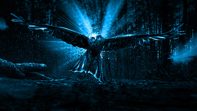 Adler Owl Google Background