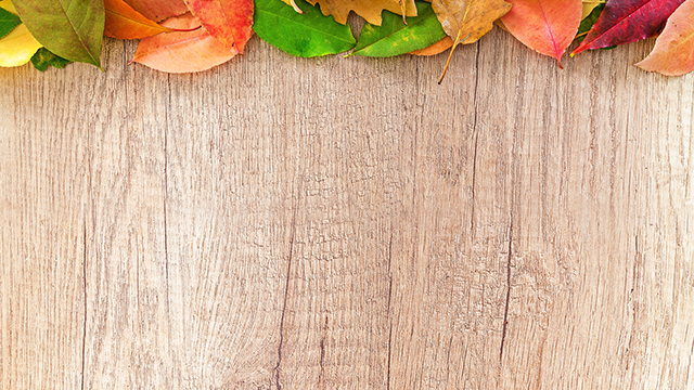 Autumn Wood Google Background