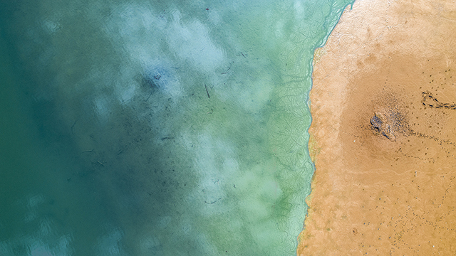 Beautiful Beach Shore Google Background