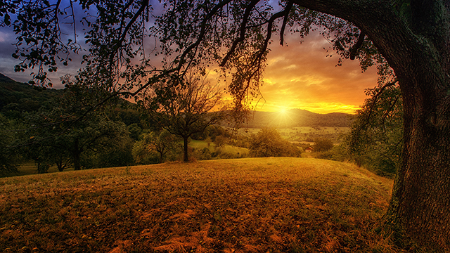 Beautiful Morning Google Background