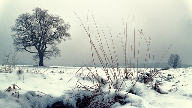 Cold Winter Google Background