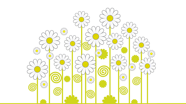 Daisies Google Background