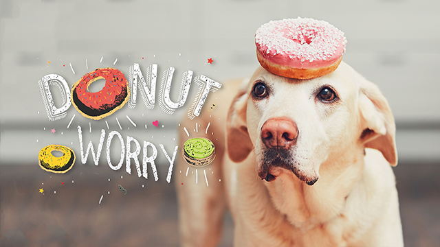 Donut Worry Google Background