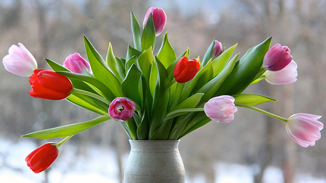 Flower Vase Google Background