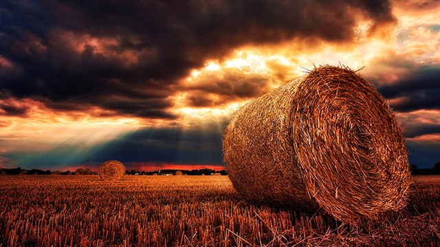 Hay Bale Google Background