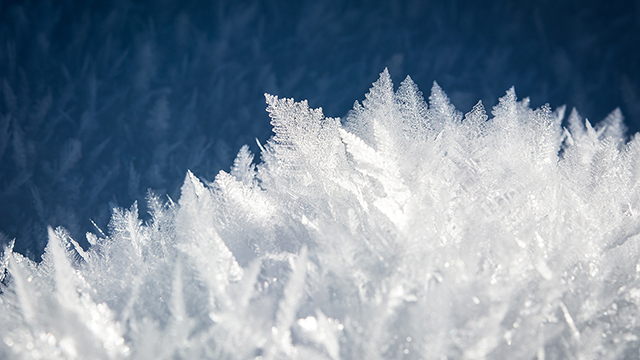Ice Crystals Google Background