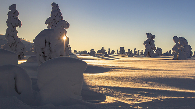 Lapland Google Background
