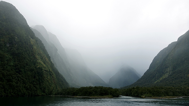 New Zealand Google Background