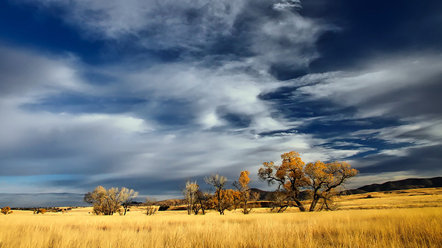 Patagonia Google Background