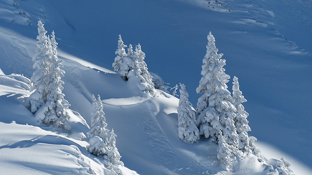 Pure Wintry White Google Background