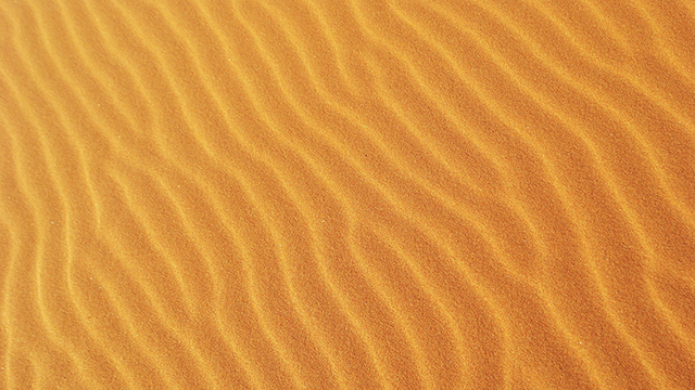 Sandy Google Background