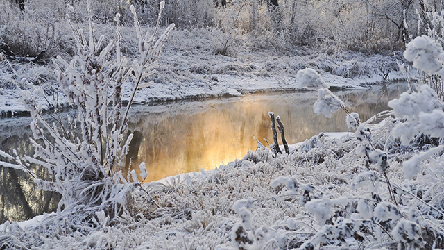 Snowy Creek Google Background