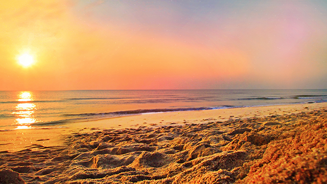 Sunset Shore Google Background