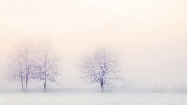 White Out Google Background