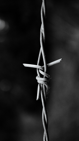 Barbed Wire