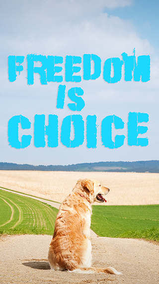 Freedom Is A Choice