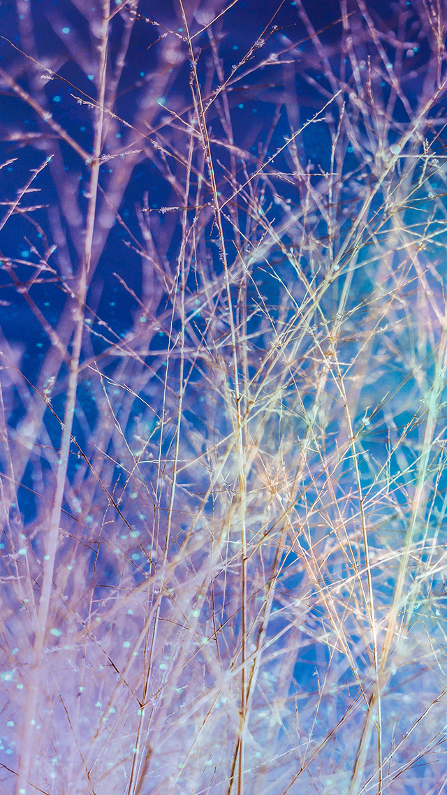 Skylar iPhone Background.