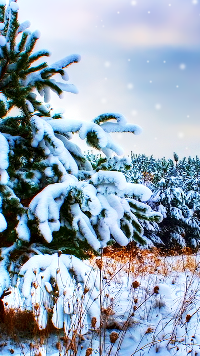 Snow iPhone Background.