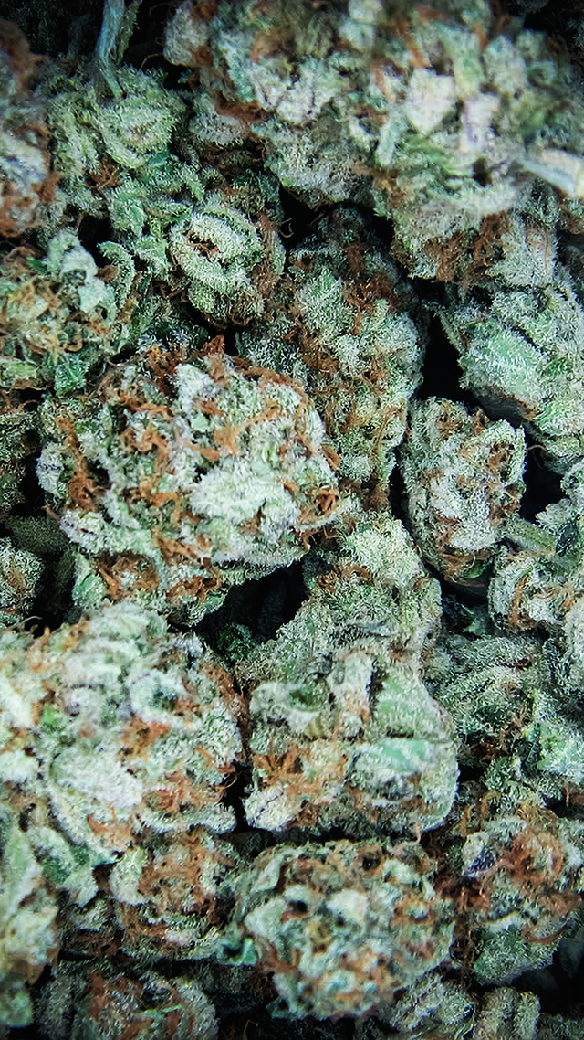 White Widow iPhone Background.