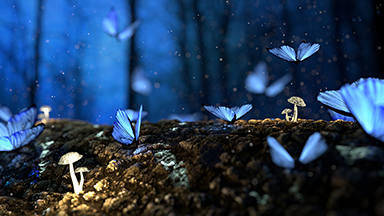 Blue Butterflies Laptop Background