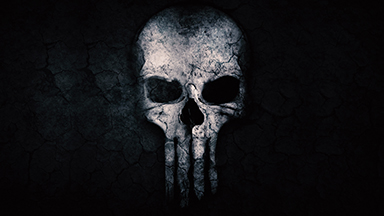 Punisher Skull Laptop Background