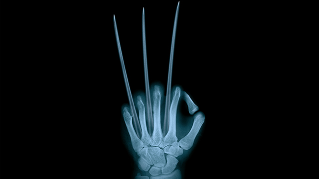 Wolverine X-Ray Laptop Background