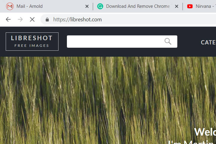 this is a screenshot of libreshot.com