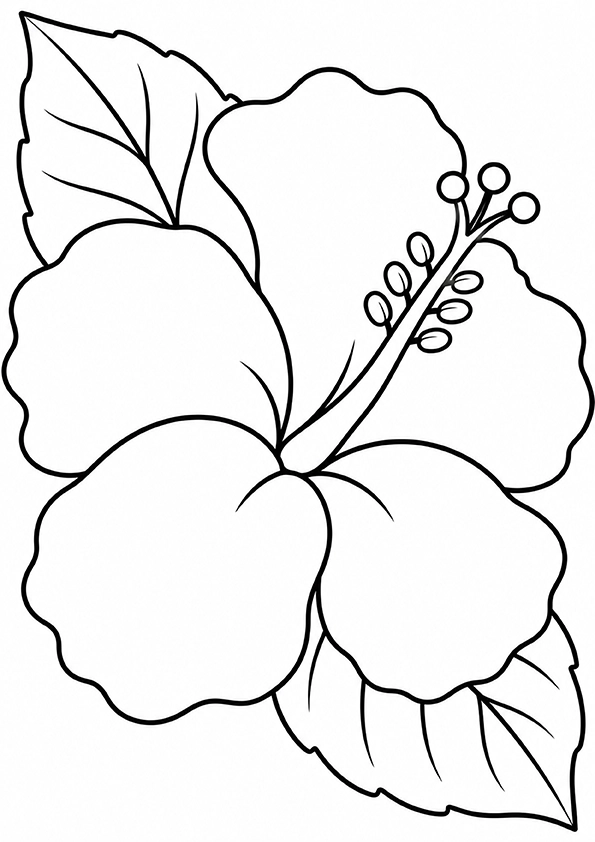 Big Hibiscus coloring page