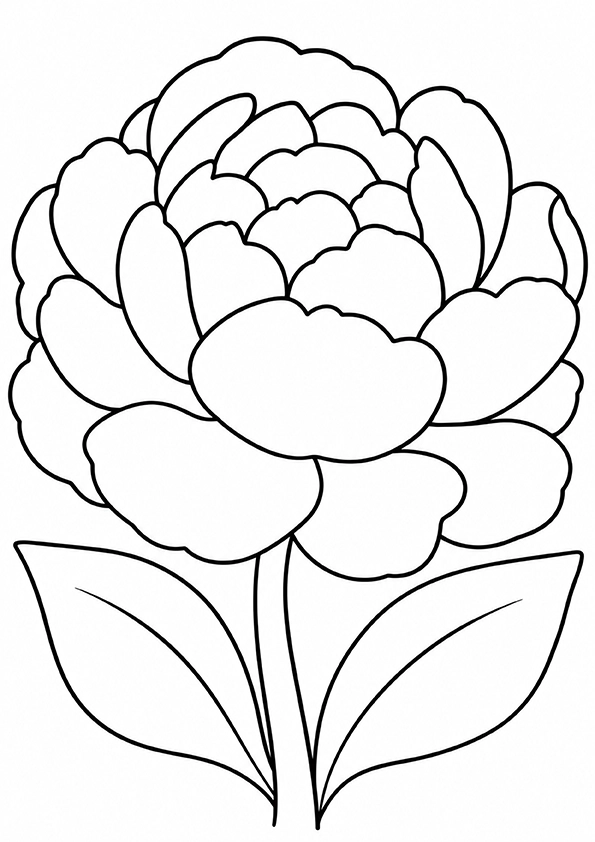 Big Peony coloring page