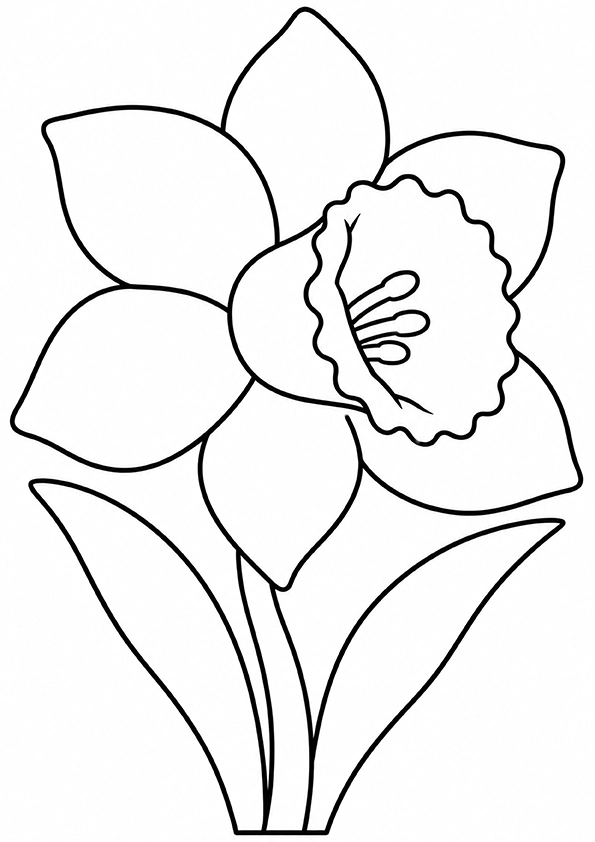 Big Spring Daffodil coloring page