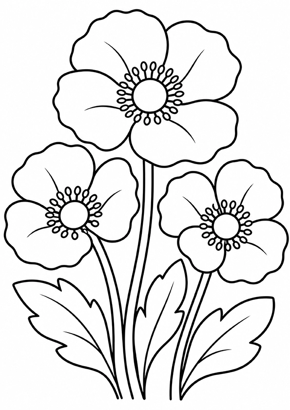 Poppy Flowers coloring page