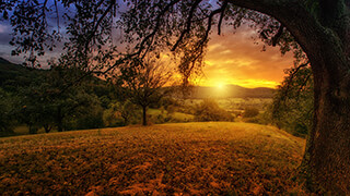 beautiful morning 2k wallpaper