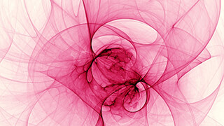 fractal rose wallpaper