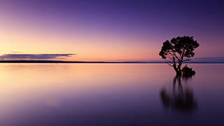 Late Sunset