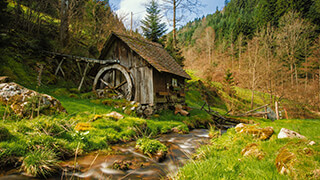 Mill House
