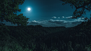 moonshine 2k wallpaper