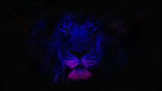 Space Lion