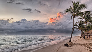 Stormy Shore