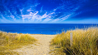 Virginia Beach